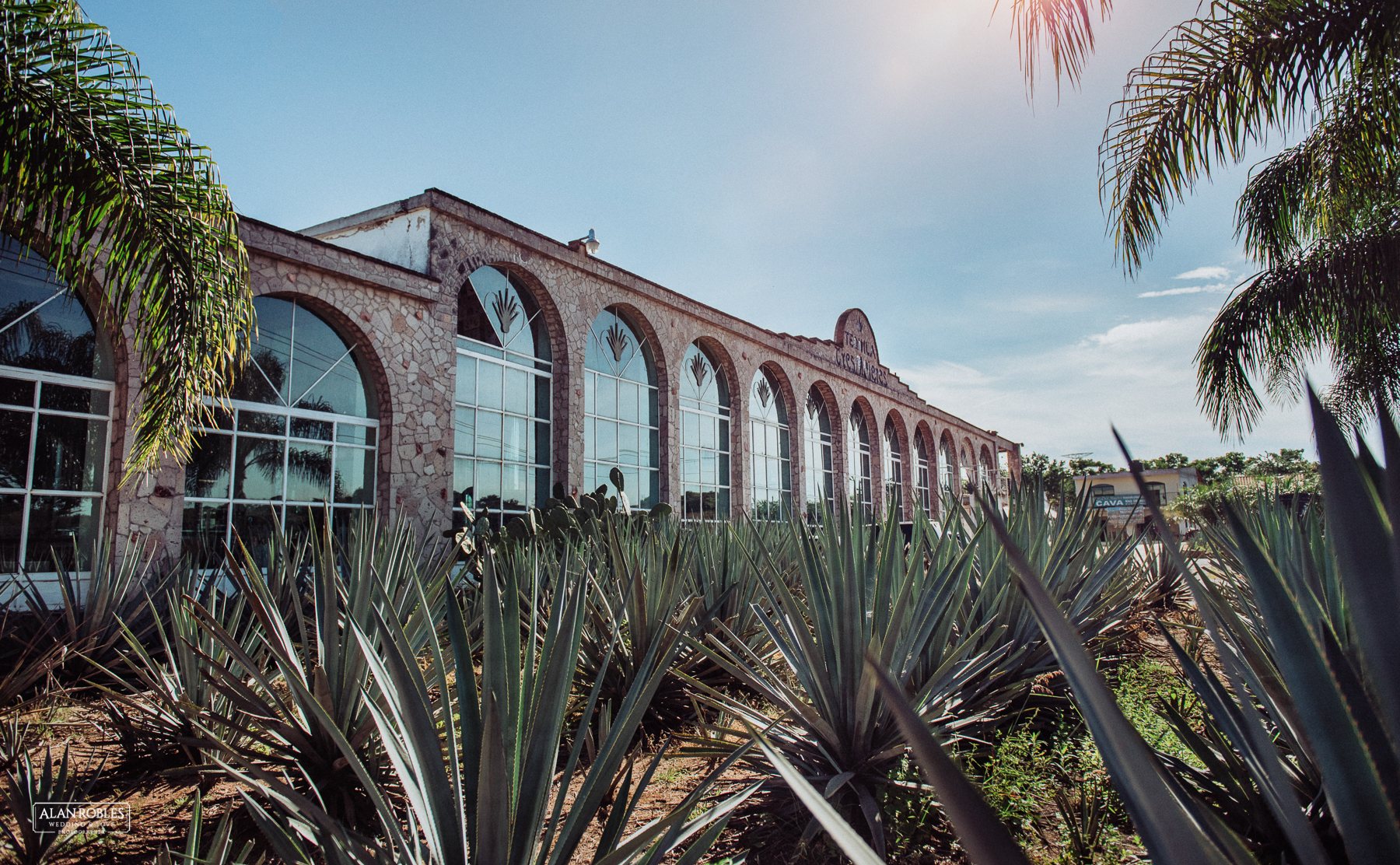 PreBoda KyA Guadalajara-Fotografo de bodas Alan Robles-1