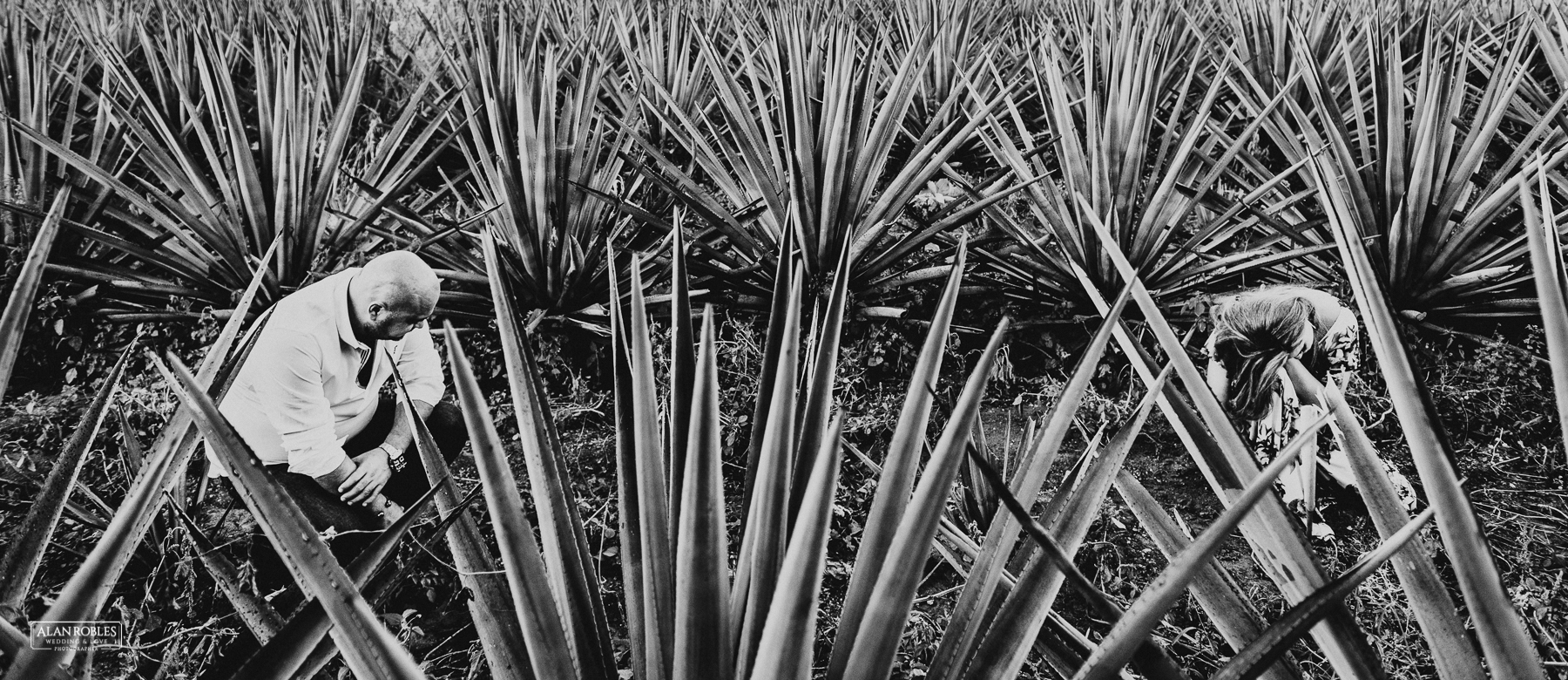 PreBoda KyA Guadalajara-Fotografo de bodas Alan Robles-59