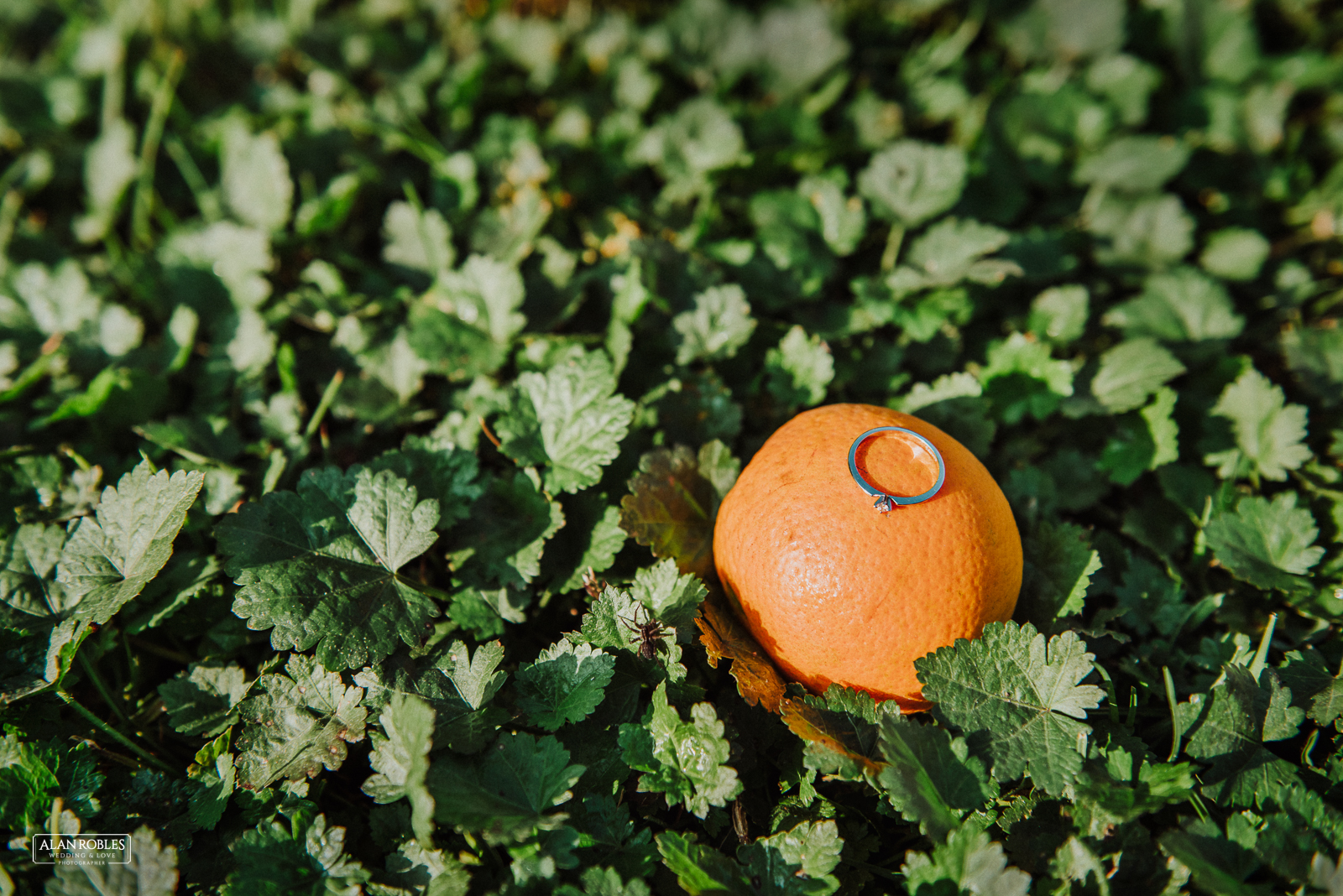 Fotografo de bodas Alan Robles-Michoacan-2